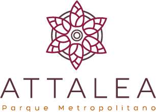 Attalea Parque Metropolitano
